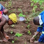 Phénix Conseils OSC