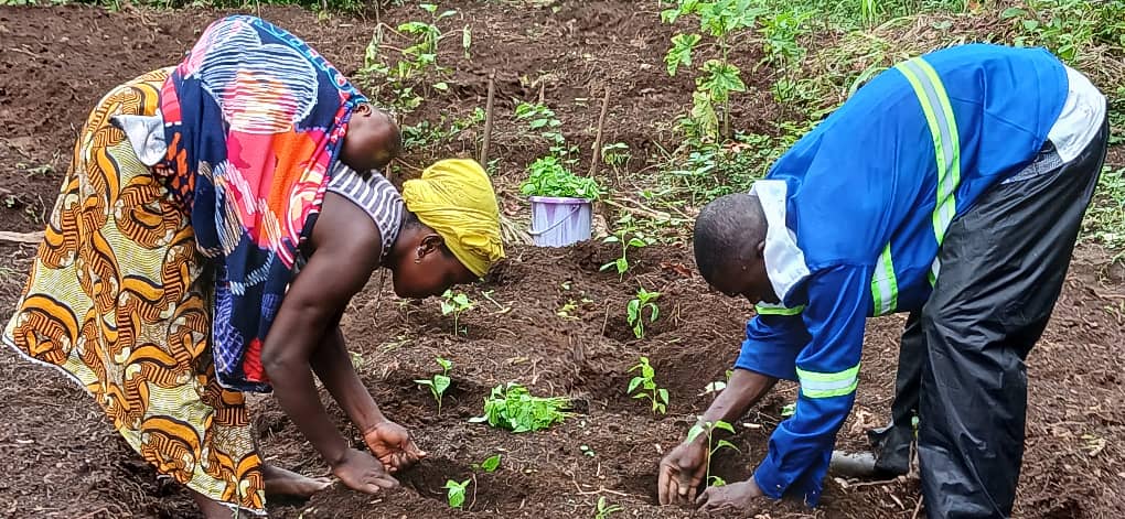 Suivi technique des activités maraîchères de BAH Sira Djouma