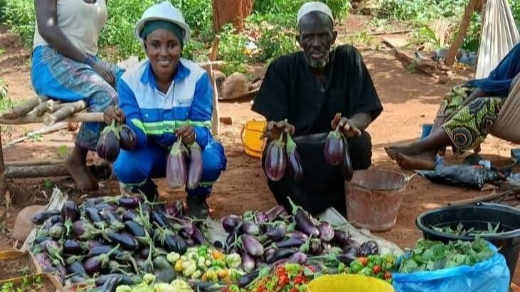 Pourquoi le développement territorial est un levier essentiel pour une croissance durable ?